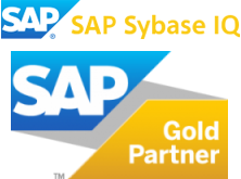 SAP Sybase IQ SAP Gold Partners